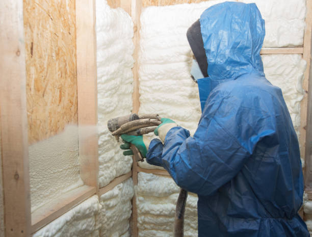 Types of Insulation We Offer in Honolulu, HI